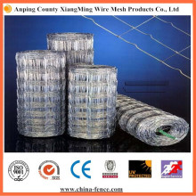 High Quality Cheap Field Fence for Cattle / Horse / Sheep